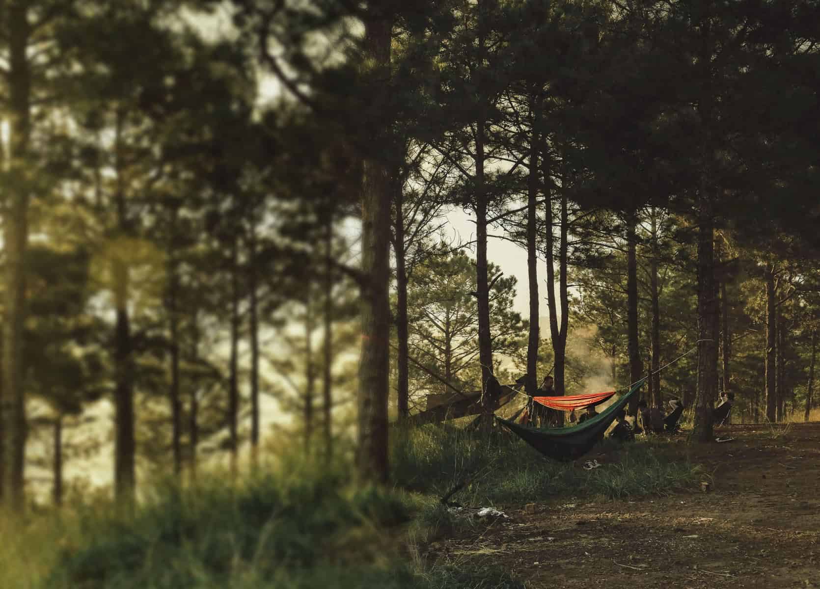 Our New Look and the Story Behind It