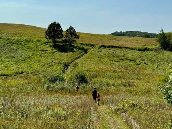 Every Family Has a Story Worth Telling