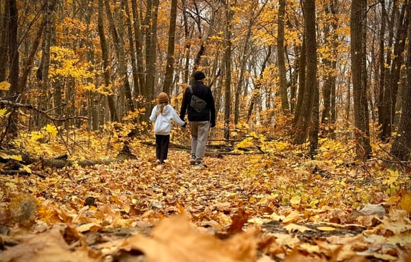 The Bible Verses that Guide Our Path