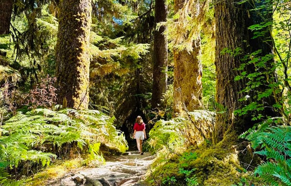 What It Means to Be a Pathfinder