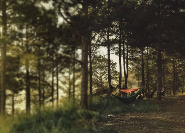 Our New Look and the Story Behind It